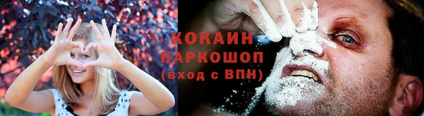 метадон Богданович