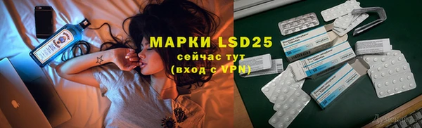 метадон Богданович