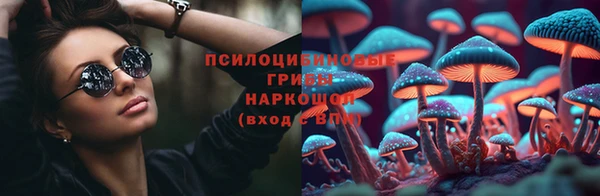 прущая мука Богородицк