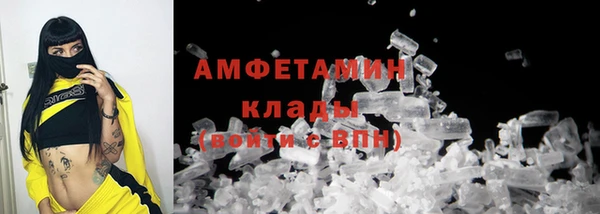 метадон Богданович