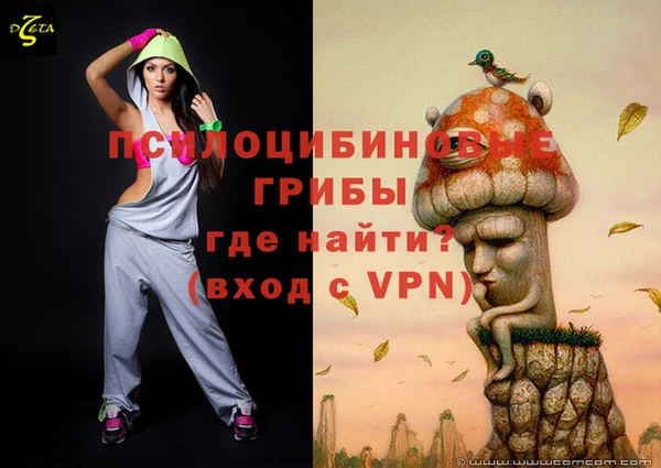 бошки Богородск