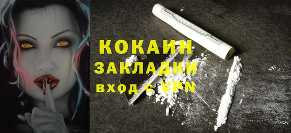 твердый Верхний Тагил