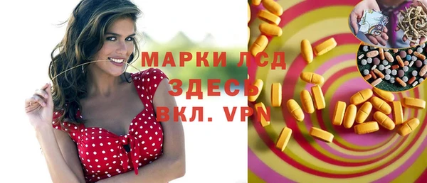метадон Богданович