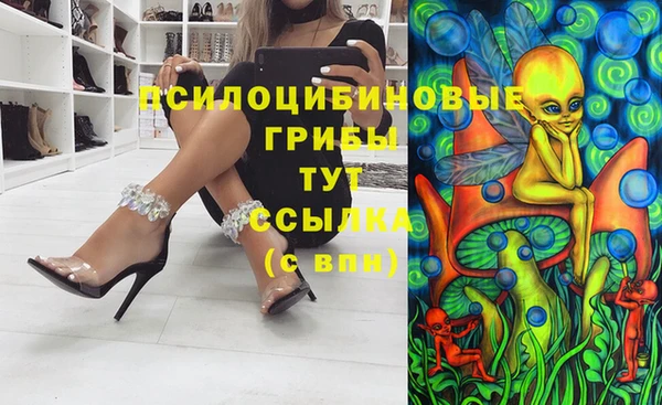 бошки Богородск
