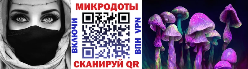 Псилоцибиновые грибы мухоморы Калач-на-Дону